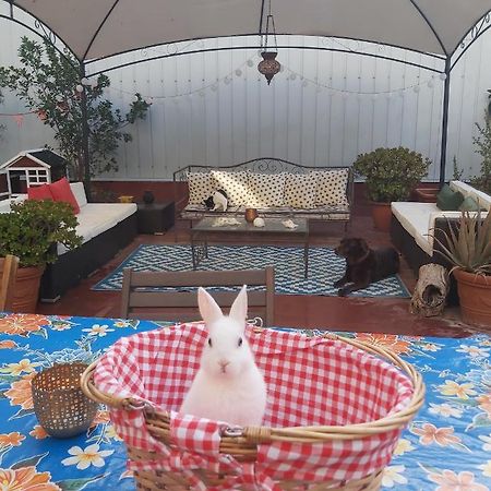 Small Room In Sants With Huge Terrace Barcelona Luaran gambar