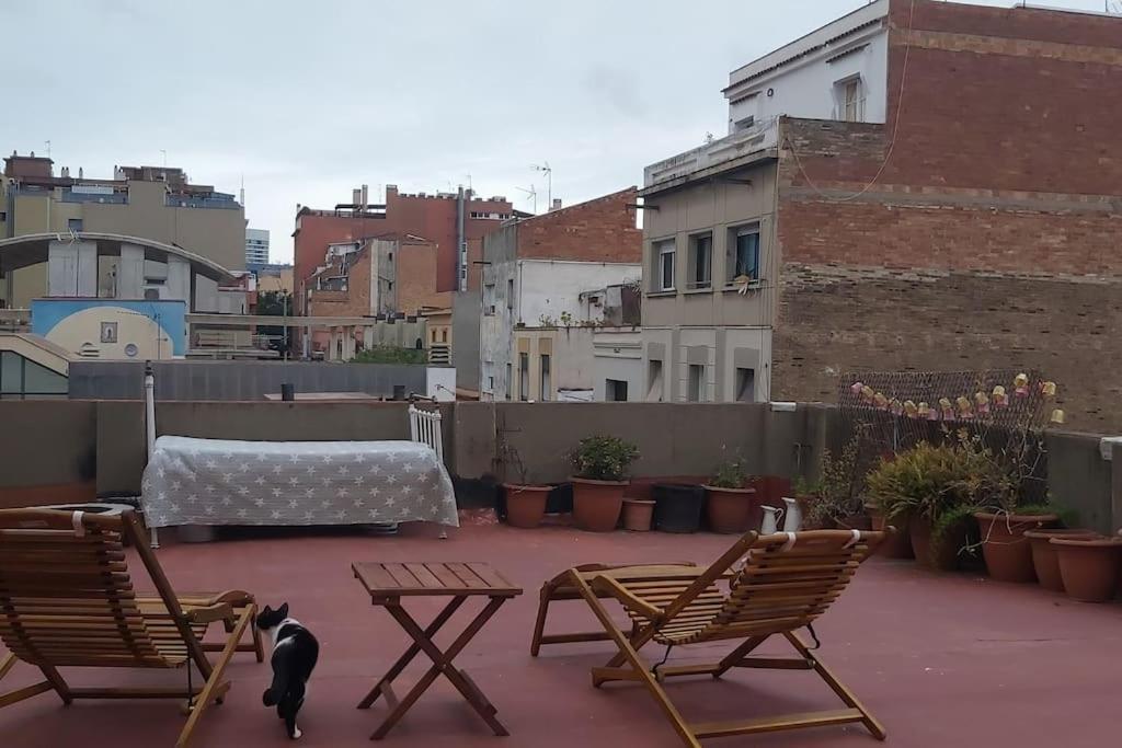 Small Room In Sants With Huge Terrace Barcelona Luaran gambar