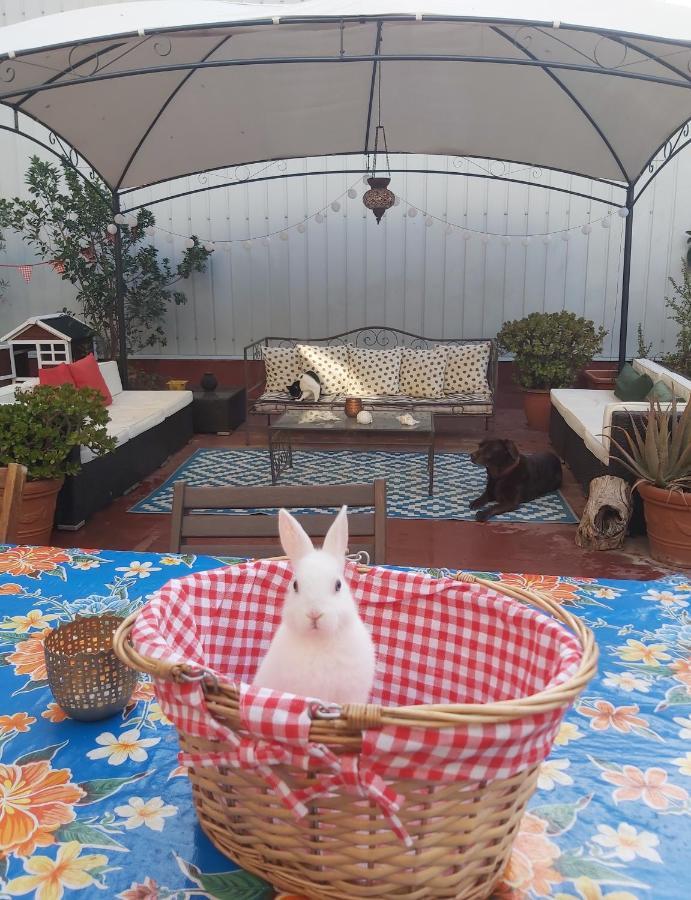 Small Room In Sants With Huge Terrace Barcelona Luaran gambar