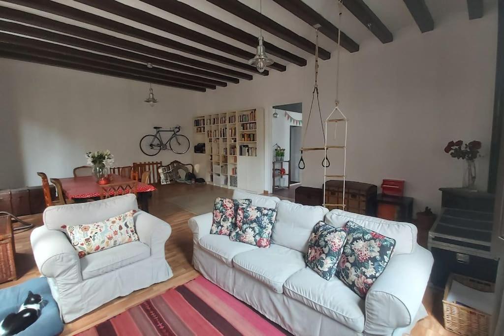 Small Room In Sants With Huge Terrace Barcelona Luaran gambar