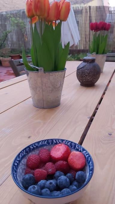 Small Room In Sants With Huge Terrace Barcelona Luaran gambar